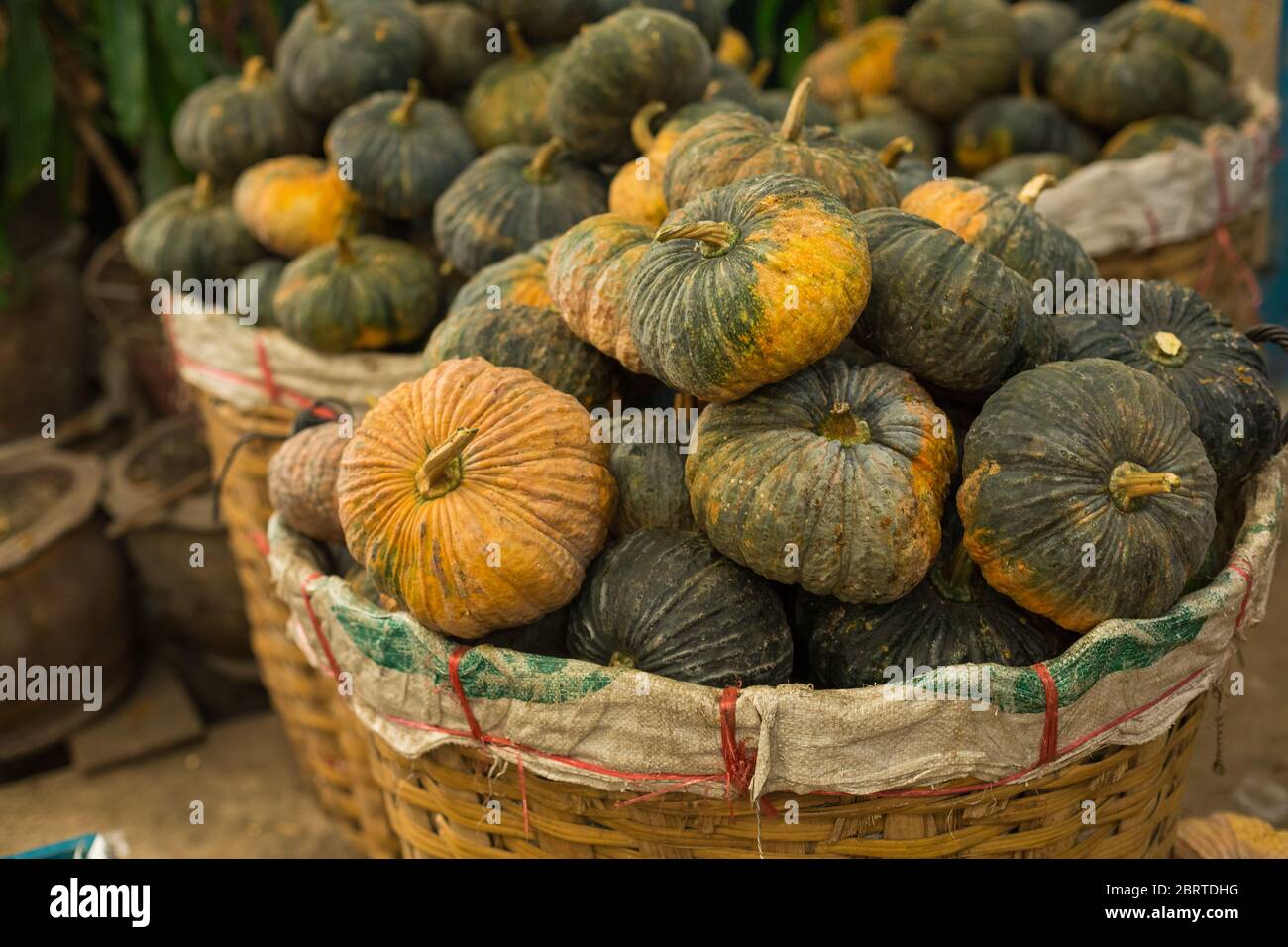 Wagon of Autumn Carving Pumpkins for Sale at Pumpkin Patch Stock Photo