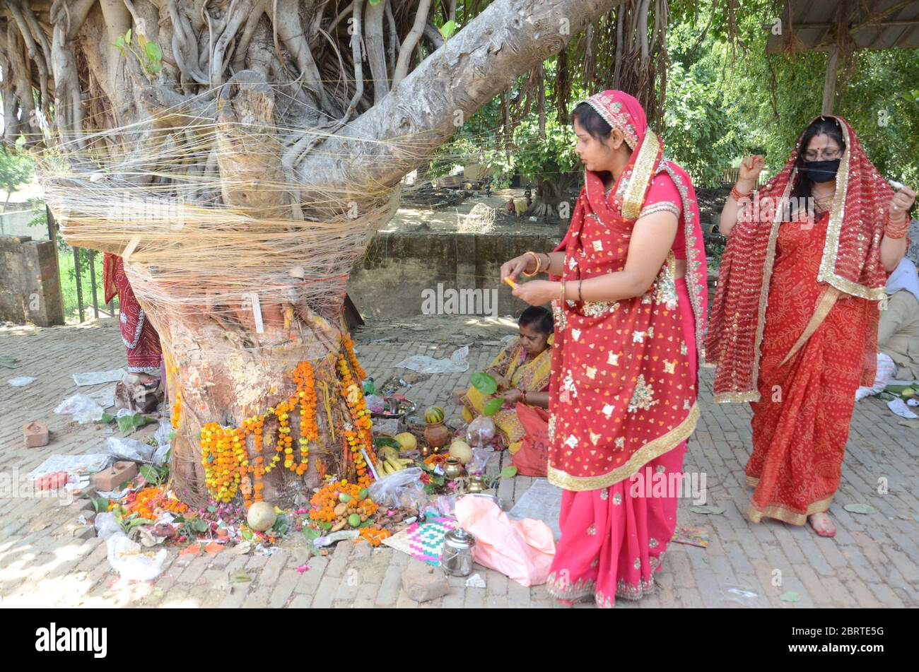 wallpapers Bar Savitri Puja Photo https www alamy com prayagraj uttar pradesh india 22nd may 2020 prayagraj woman performs rituals on a banyan tree on the occasion of vat savitri puja during the ongoing covid 19 nationwide lockdown in ranchi friday may 22 2020 vat savitri vrat is observed by all married women for the well being and long life of their husband credit prabhat kumar vermazuma wirealamy live news image358882428 html