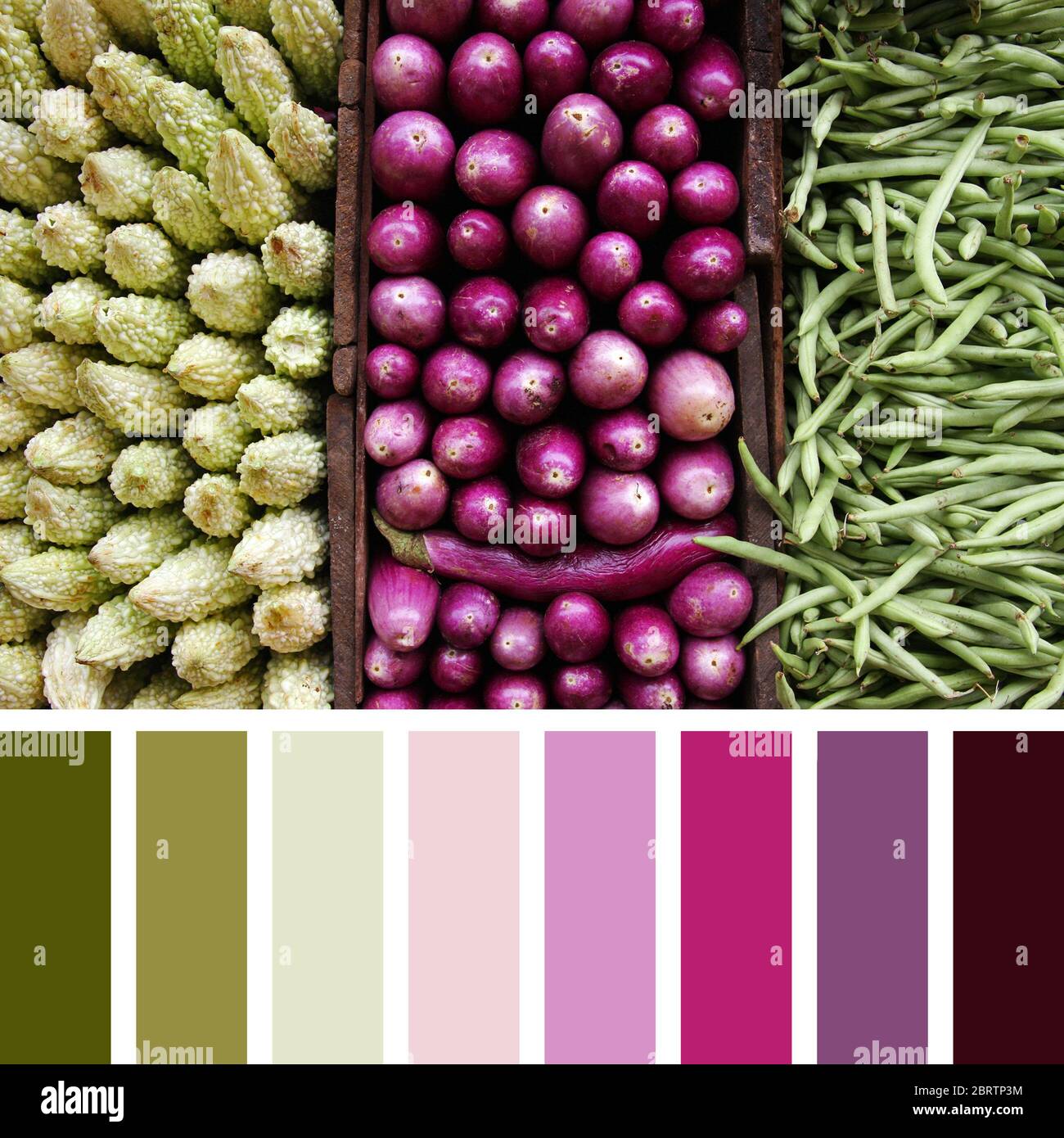 A Triptych Of Vegetables Bitter Gourds Aubergines And Green Beans In A Colour Palette With Complimentary Colour Swatches Stock Photo Alamy