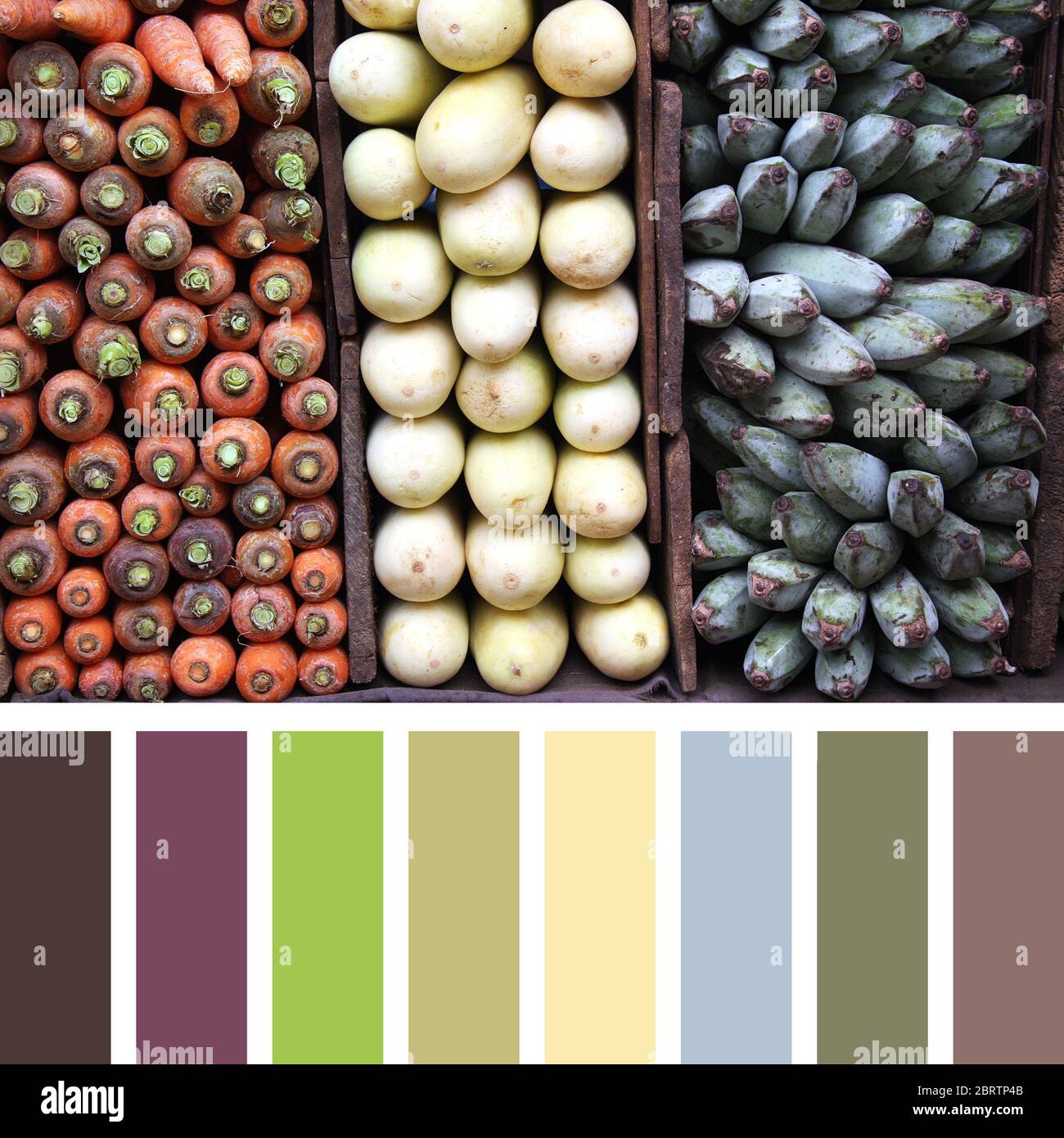 A Triptych Of Vegetables Carrots White Aubergines And Bananas In A Colour Palette With Complimentary Colour Swatches Stock Photo Alamy