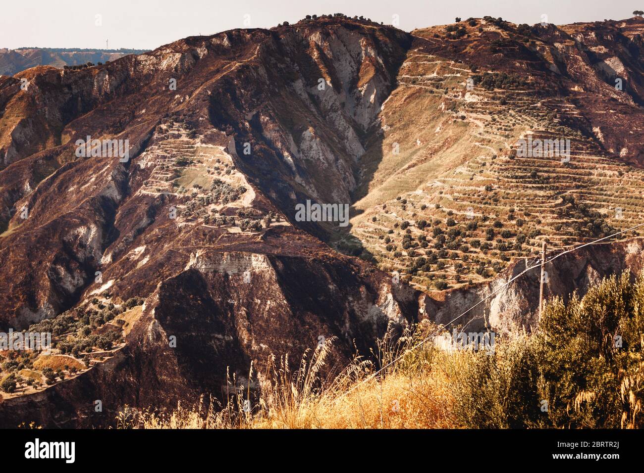 View on scorched hills with olive gardens near Reggio Calabria Stock Photo