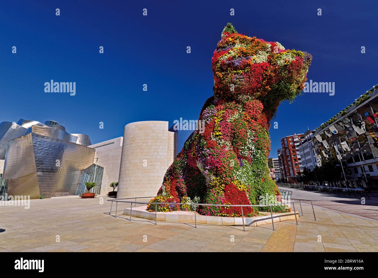 Giant dog made of thousands of colorful flowers Stock Photo