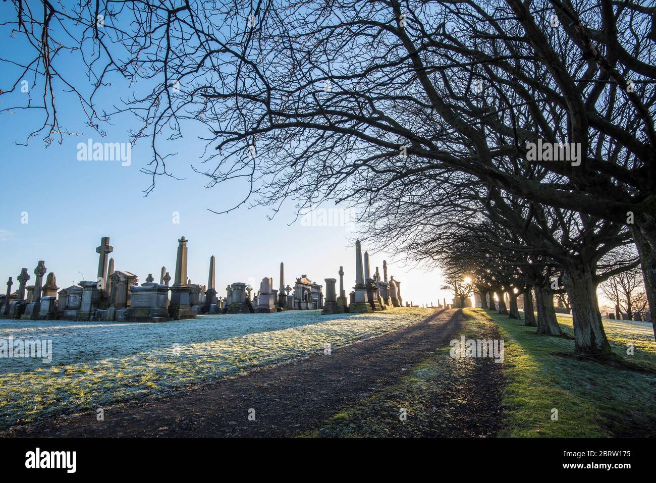 Glasgow Necropolis Cemetery in winter Stock Photo Alamy