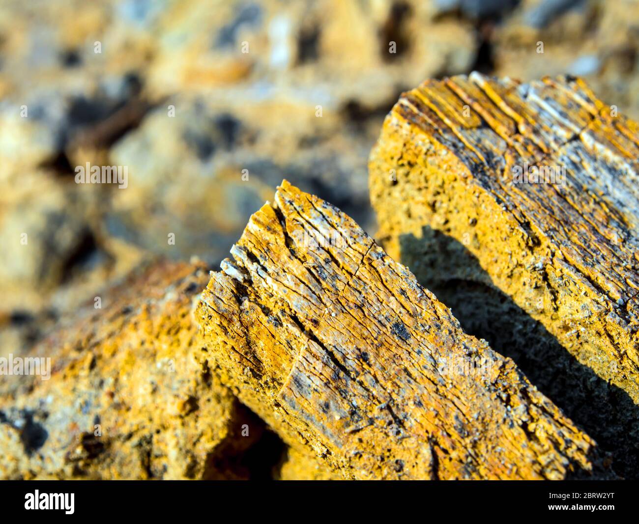 Gold colored stone outlet