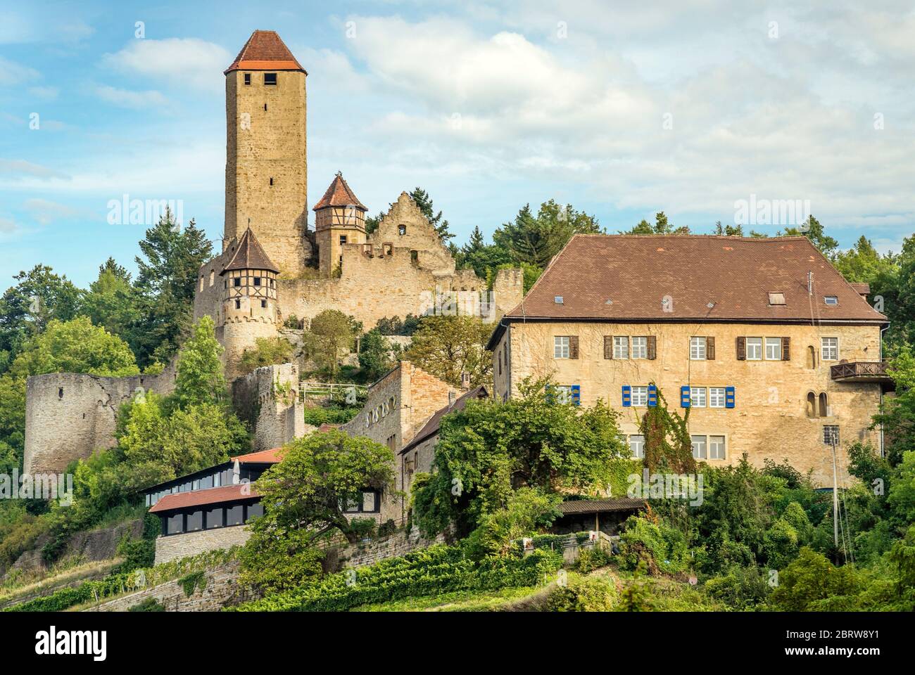Castle Hornberg in Neckarzimmern at the River Neckar, Baden Wuertemberg, Germany Stock Photo