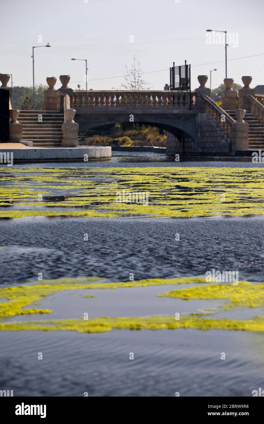 20th May 2020. Great Yarmouth. Restored boating lake at Great Yarmouth becoming blanketed in green algae, a common occurrence on lakes and ponds particularly when there is little movement. Like so many attractions at resorts around the country the Boating Lake will remain closed for the Spring Bank Holiday. Stock Photo