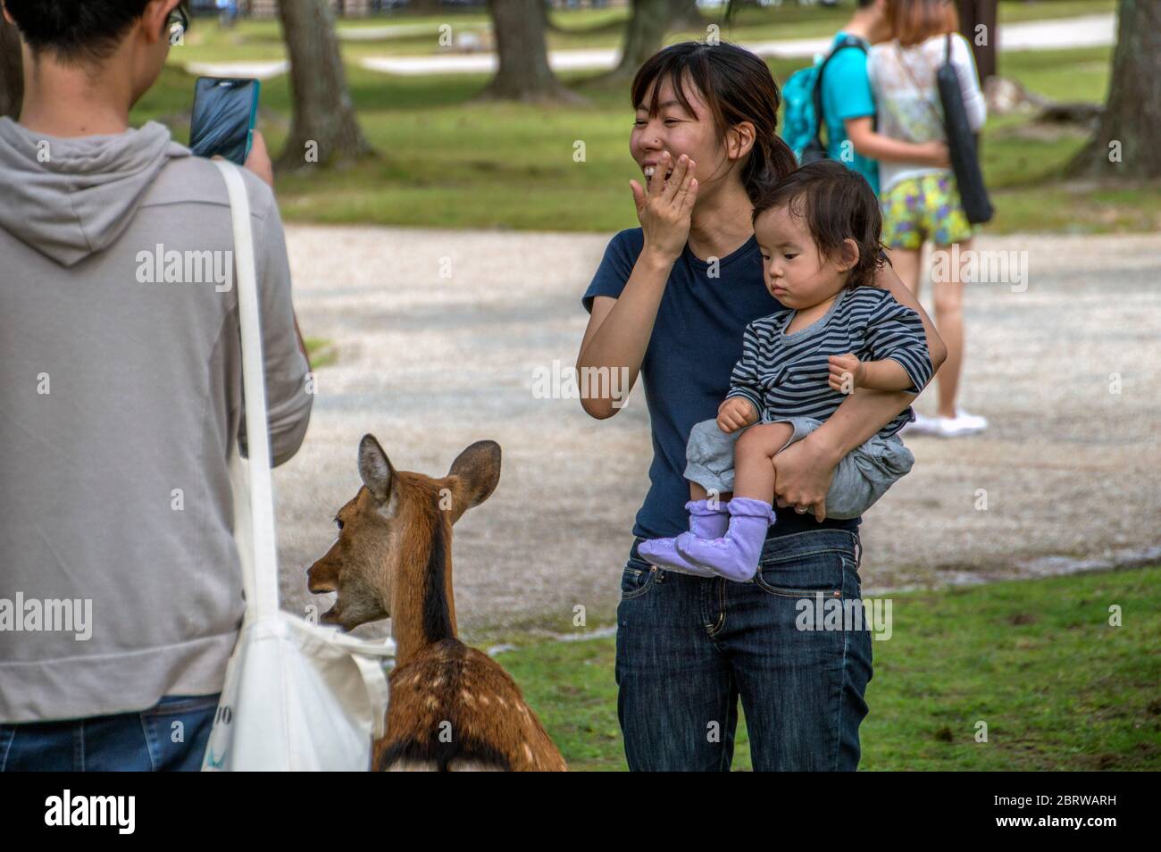 Japanese Mother And Child Looking At Deer At Nara Japan 2015 Stock Photo