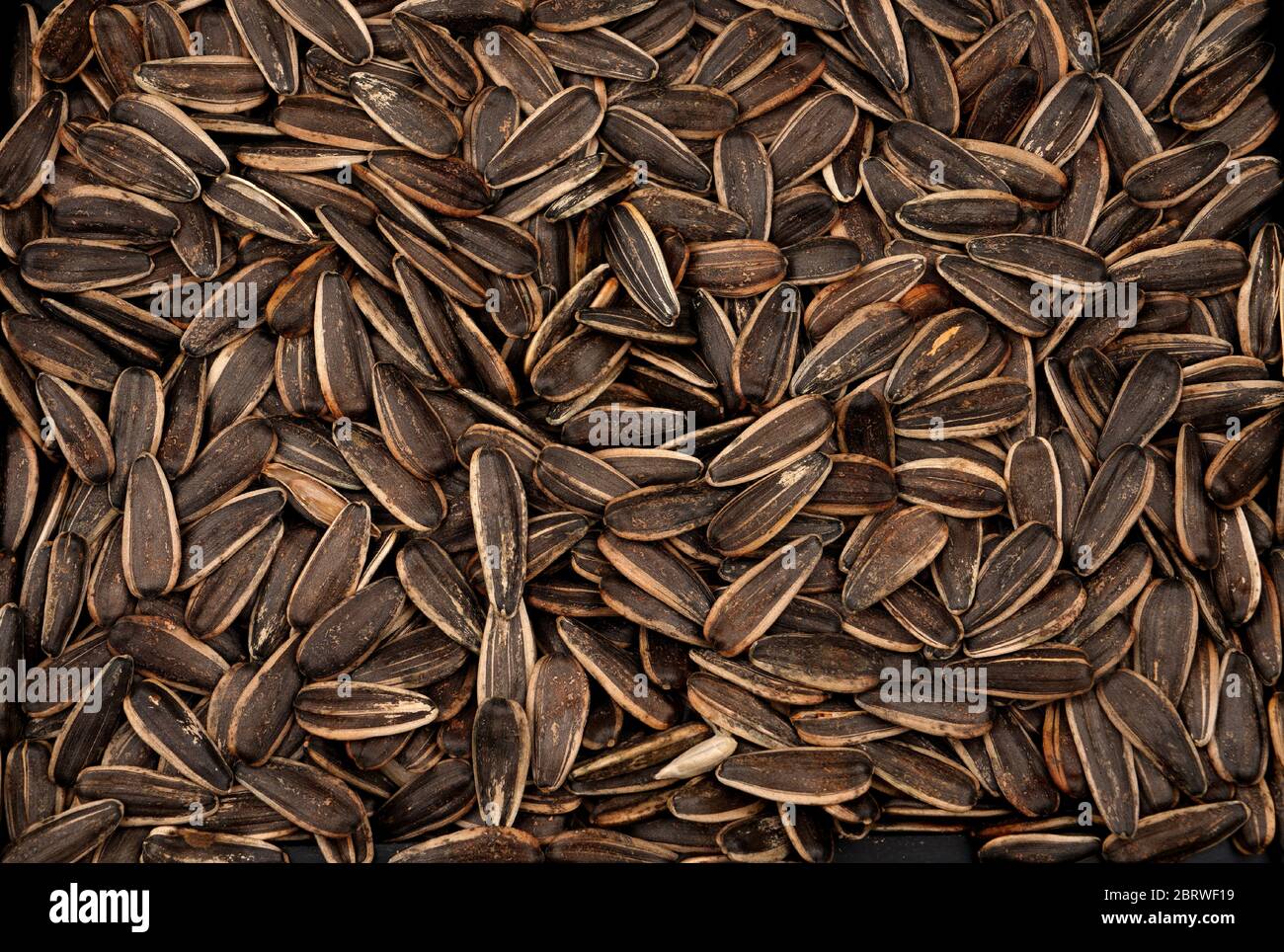 Black sunflower seeds hi-res stock photography and images - Alamy