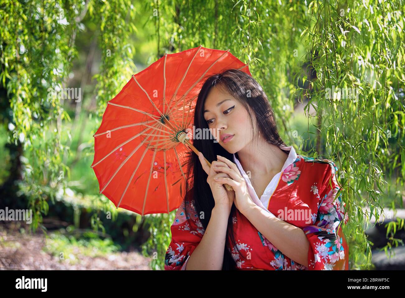 Beautiful oriental woman under willow tree Stock Photo