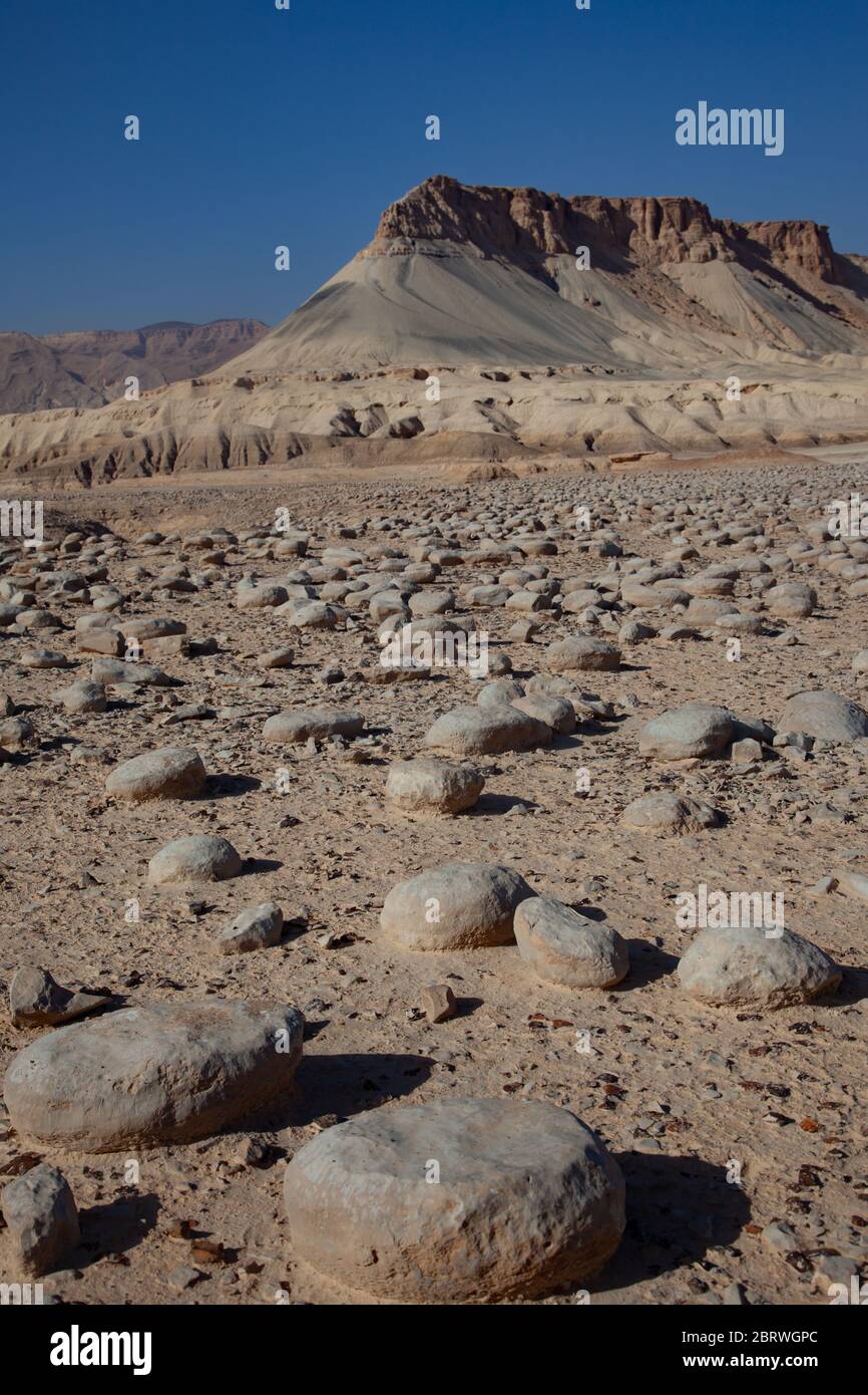 Israel, Negev Desert landscape. The Bulbus rock field in front of Mount ...