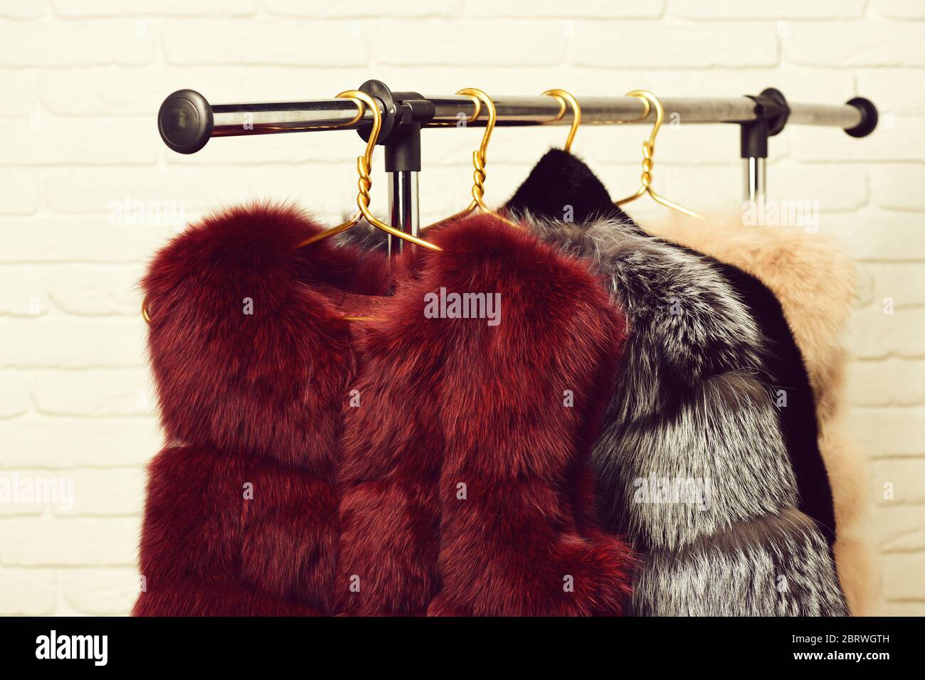 fashionable luxurious waist coats of fur hanging on rack on golden ...