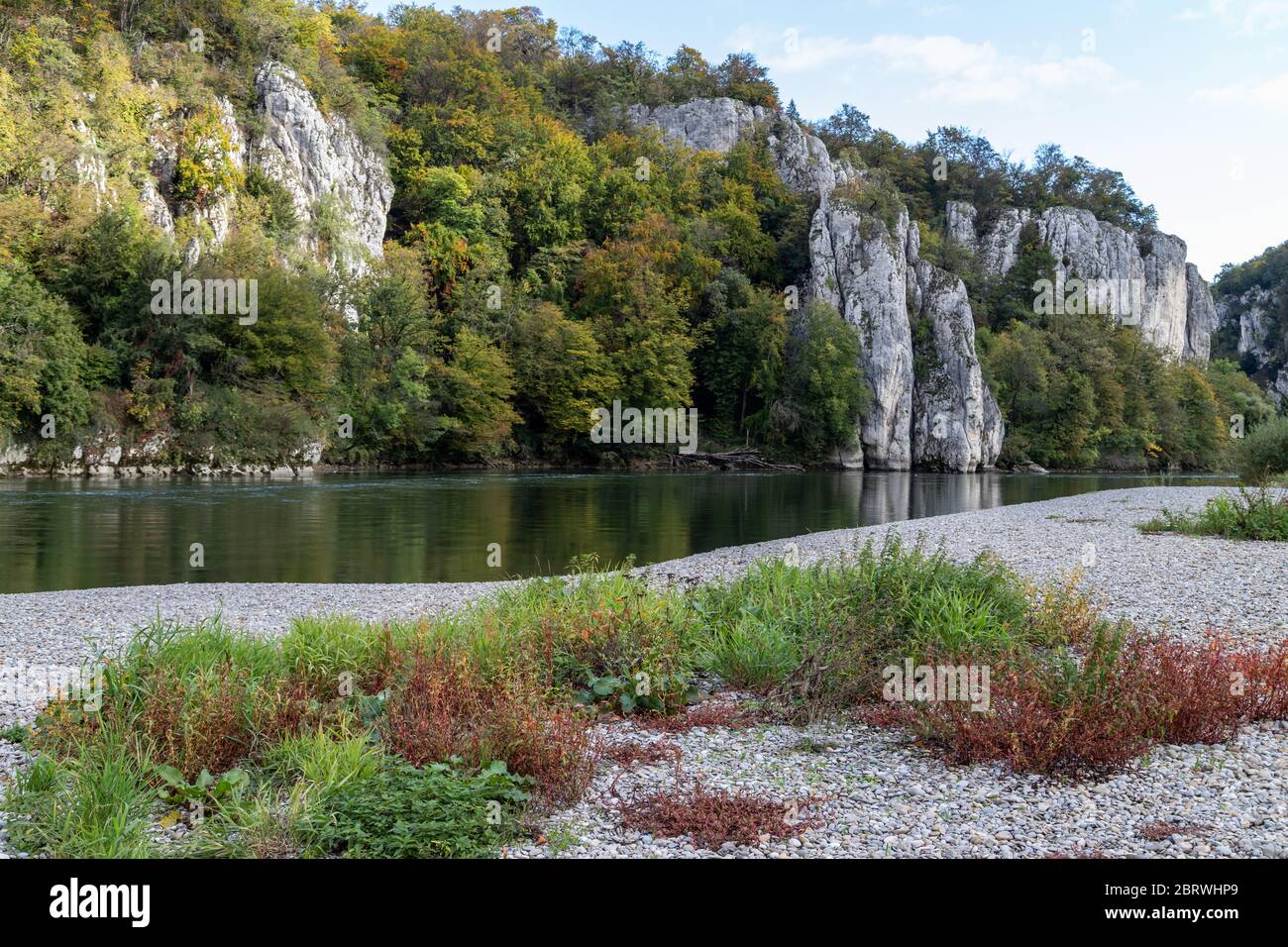 Danube valley at Danube river breakthrough near Kelheim, Bavaria, Germany in autumn with gravel bank and plants with red leaves in foreground and lime Stock Photo