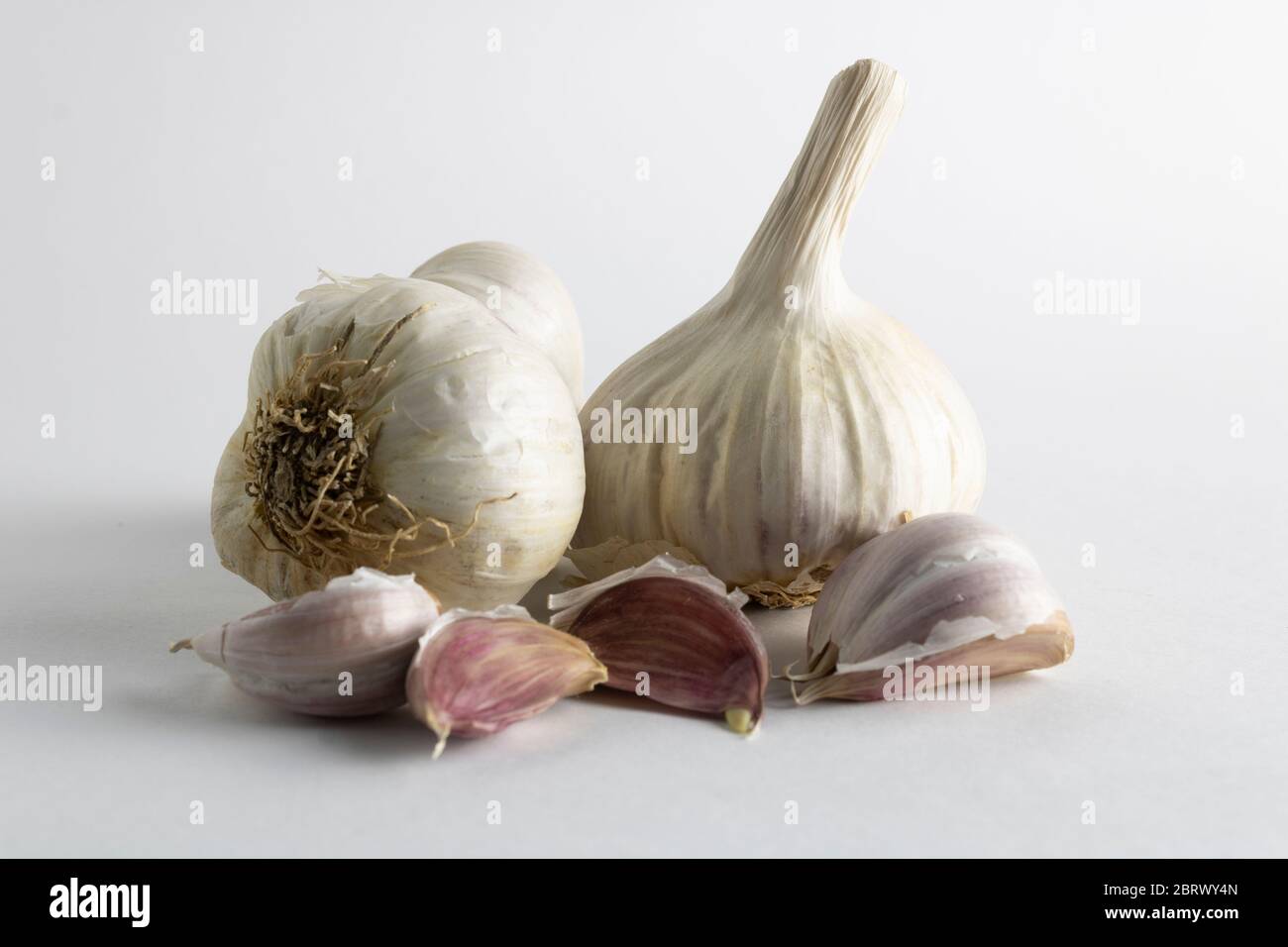 Garlic head and garlic cloves isolated on a white background Stock