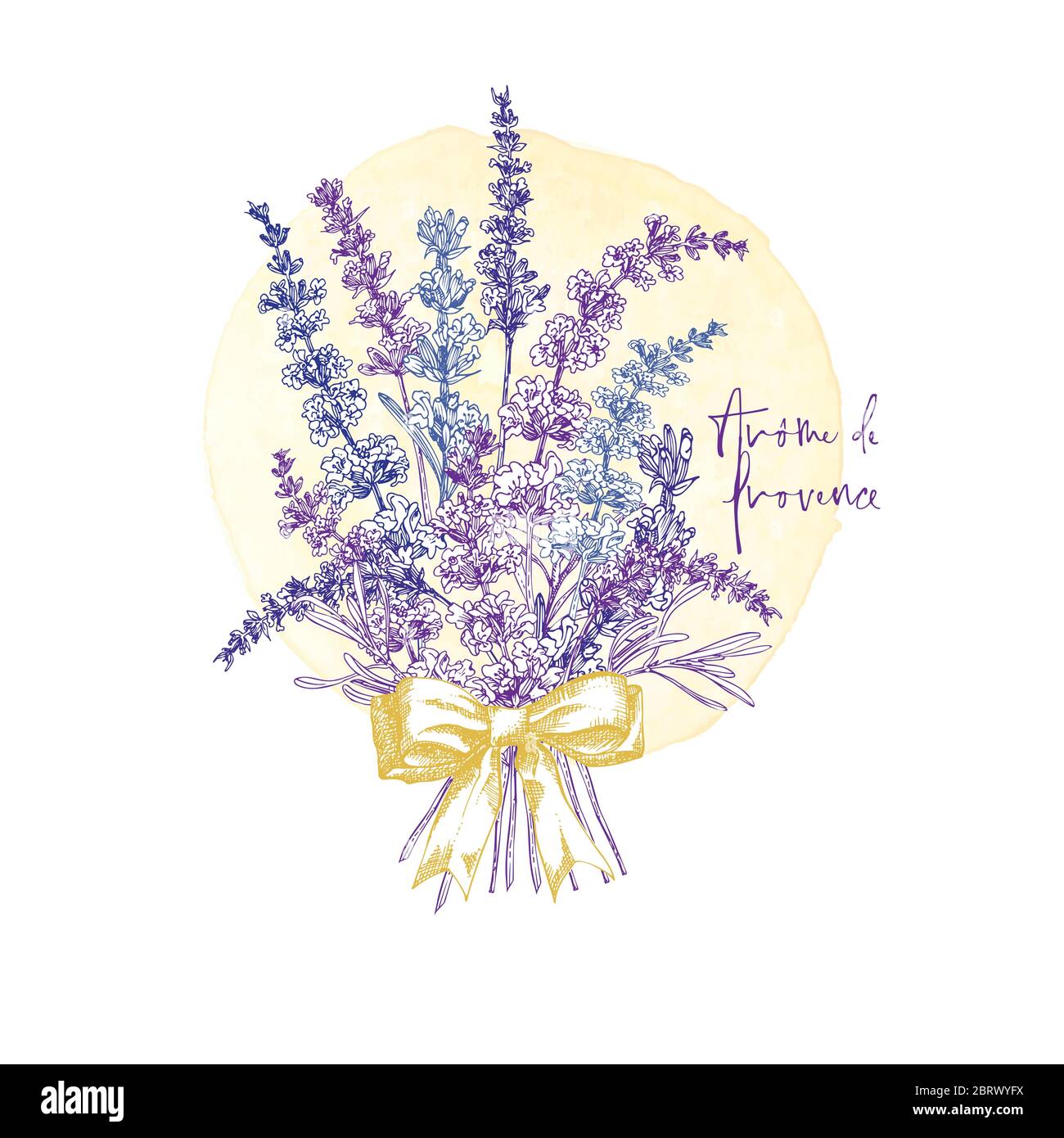 Small white flower border Stock Vector Images Alamy