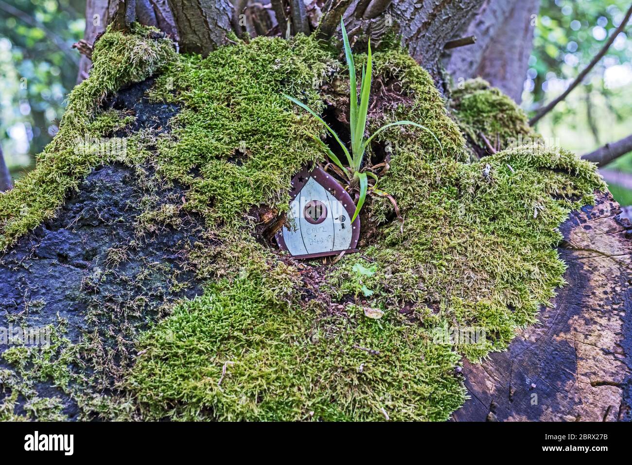 Fairy houses hires stock photography and images Alamy
