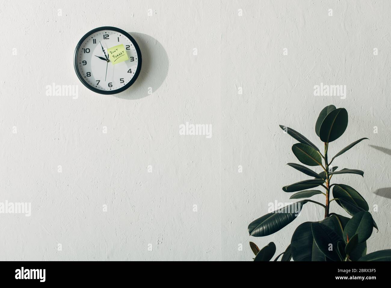 Sticky note with dont forget lettering on clock near plant in office ...