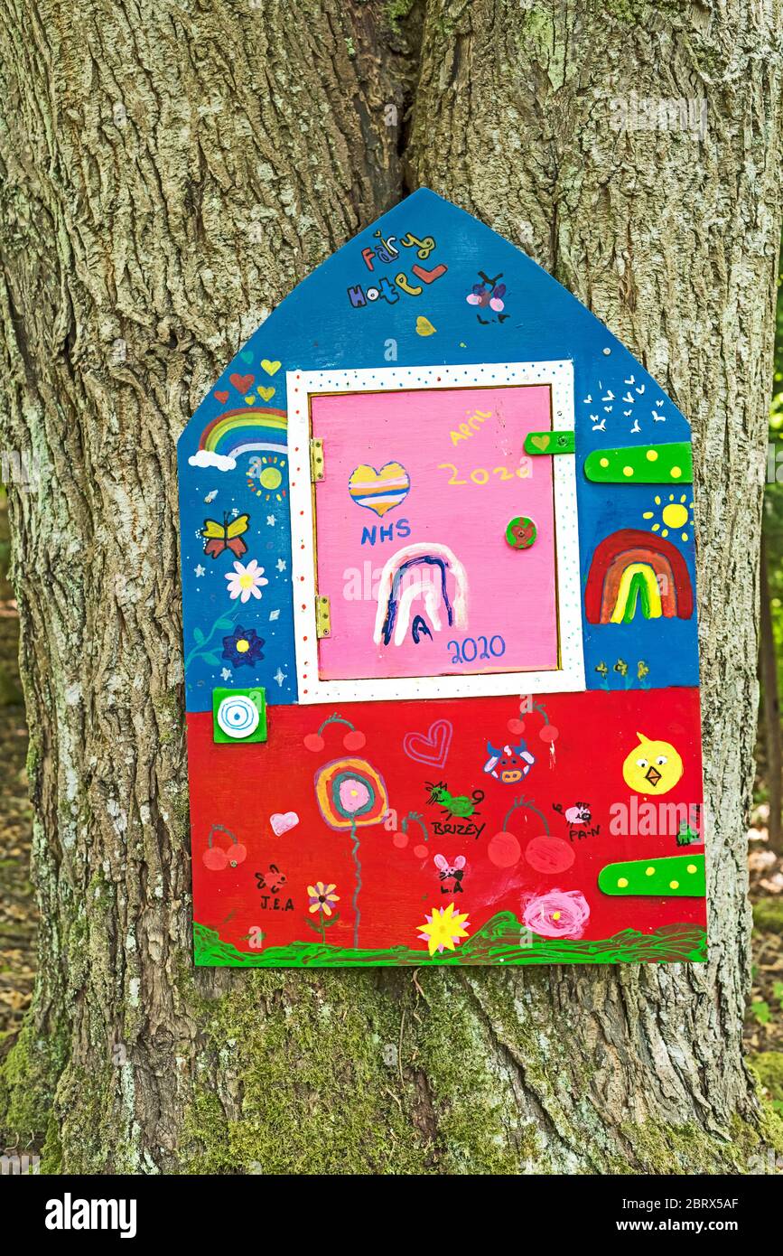 Children's painted Fairy houses placed in woodland in Hillside, Angus