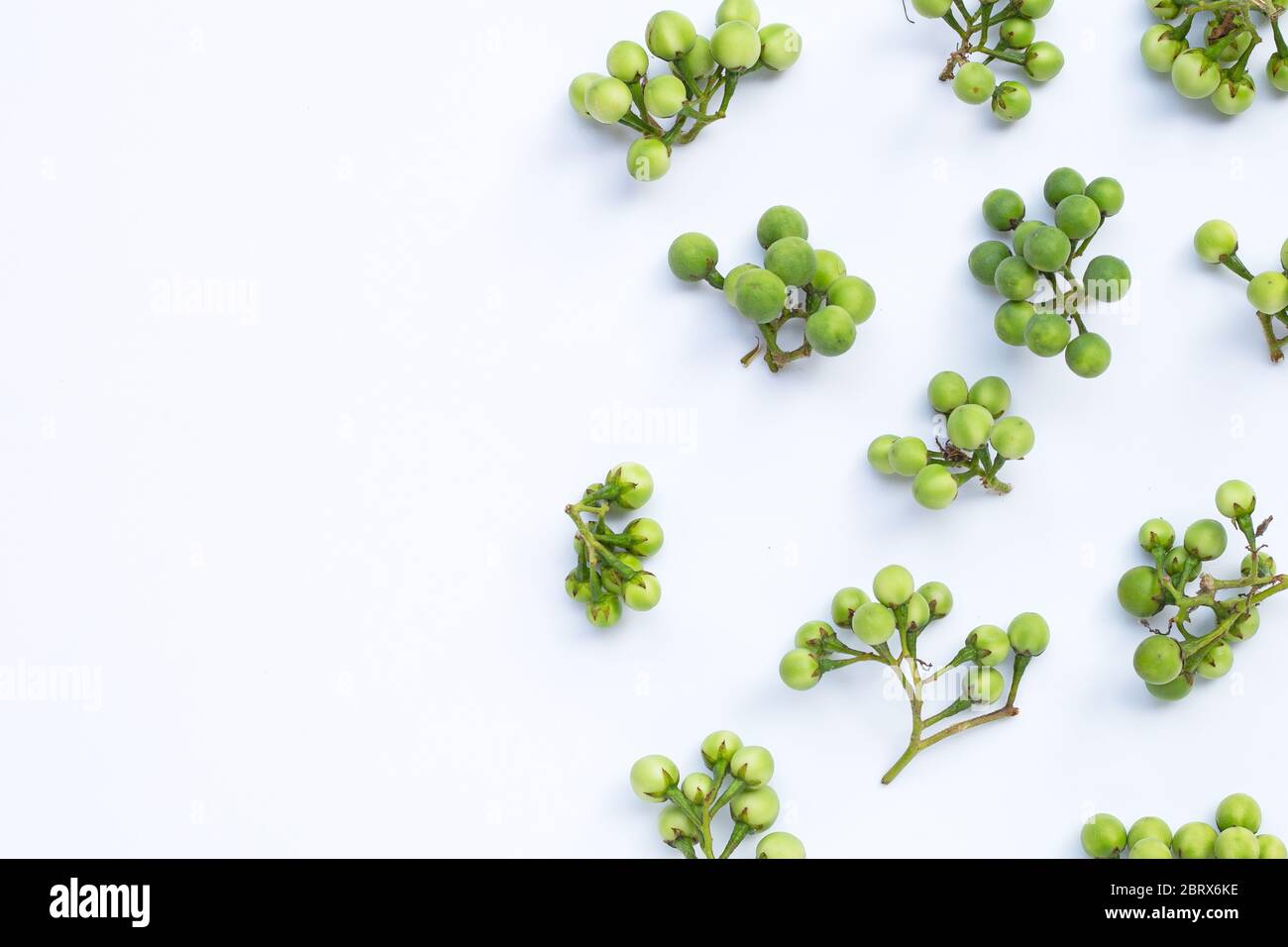 Turkey berry isolated on white background Stock Photo