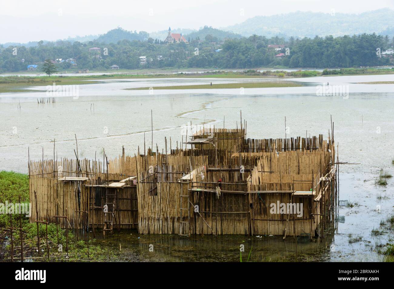 Bamboo cage for waterplant farming in the northern part of Lake Poso, near Tentena, Cental Sulawesi, Indonesia Stock Photo