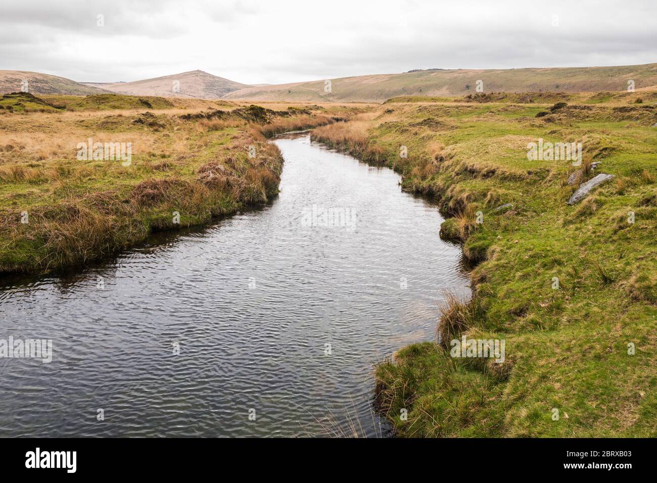 The River Taw flowing across Taw Marsh near Belstone, with Steeperton and Oke Tors in the distance.  Dartmoor National Park, Devon, England, UK. Stock Photo