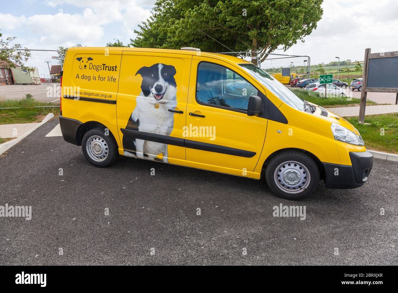 The dogs trust store sadberge