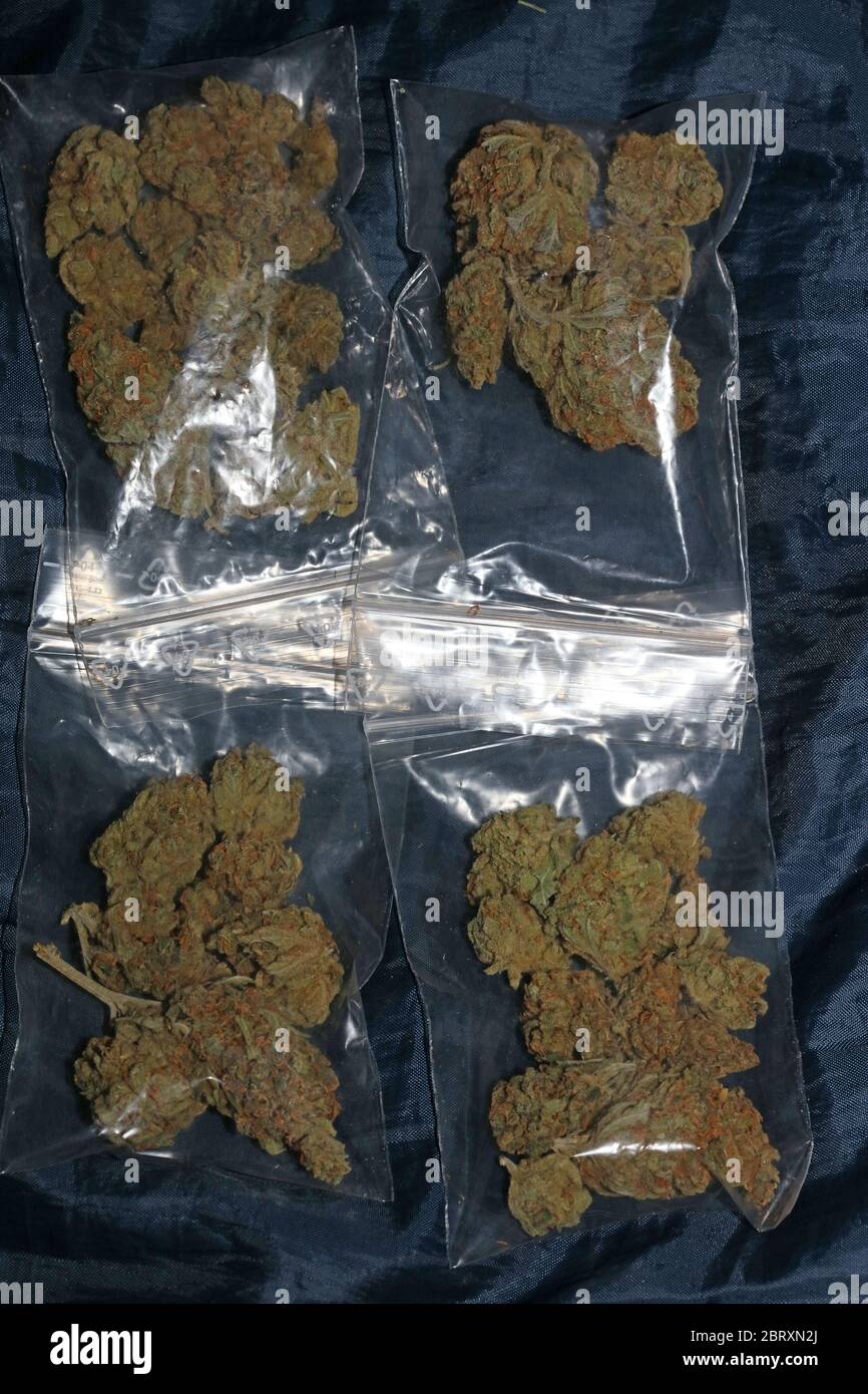 lemon haze lemon haze
