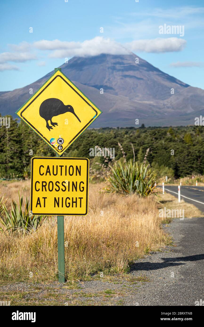 Kiwi warning sign on the road to Tongariro National Park, North Island, New Zealand Stock Photo