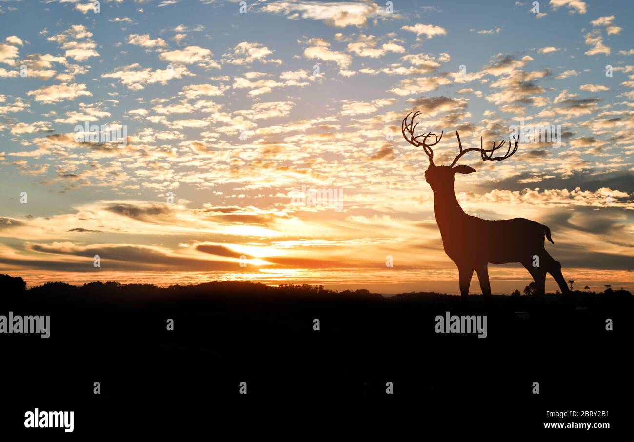 Silhouette of deer on top of a mountain with sunset in the