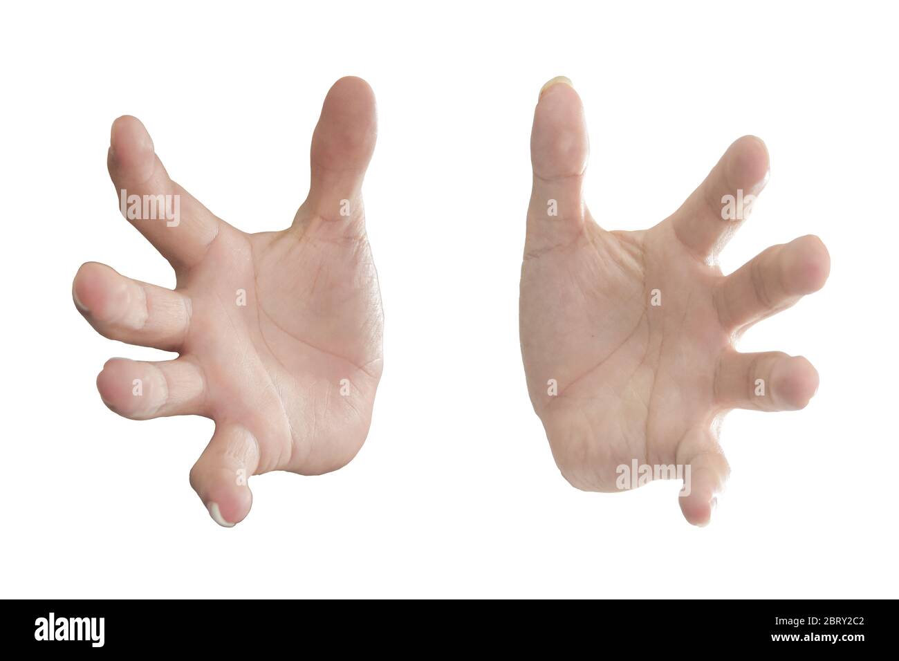 Human hand gestures showing isolated on white background Stock Photo
