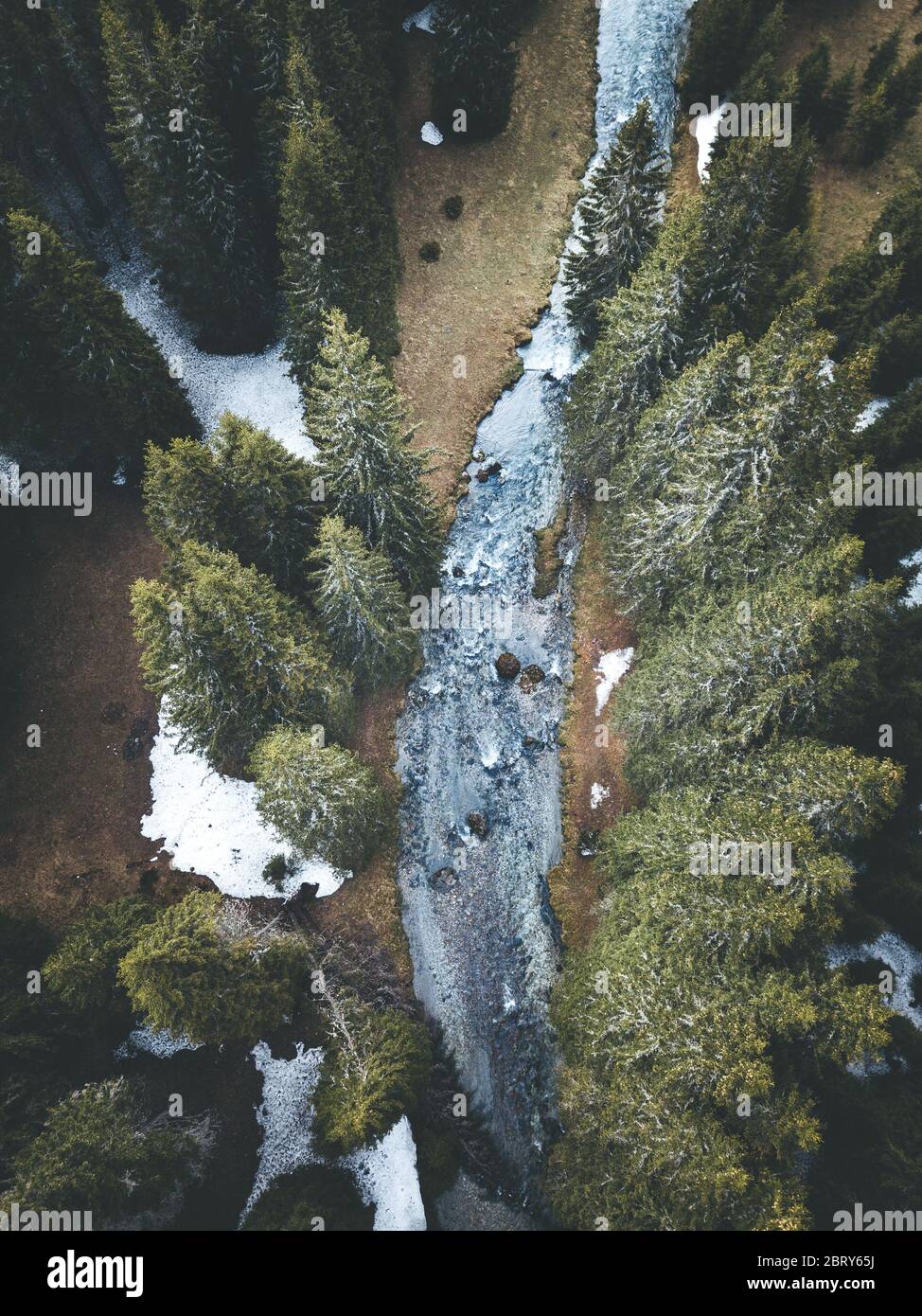 Forest drone shot above the road Stock Photo