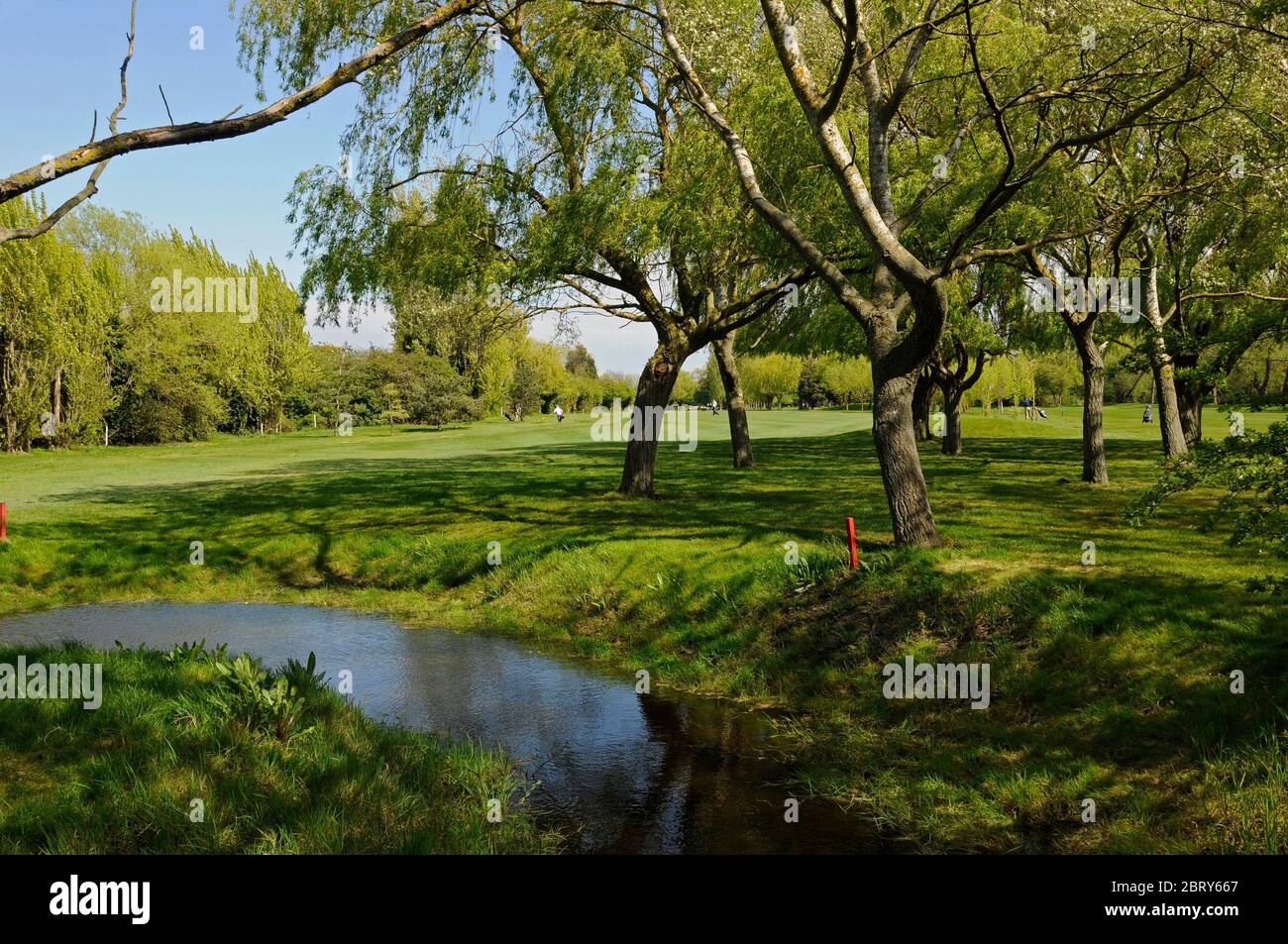 View over small ditch to fairway of 8th Hole, Thorpe Hall Golf Club, Southend-on-Sea, Essex, England Stock Photo