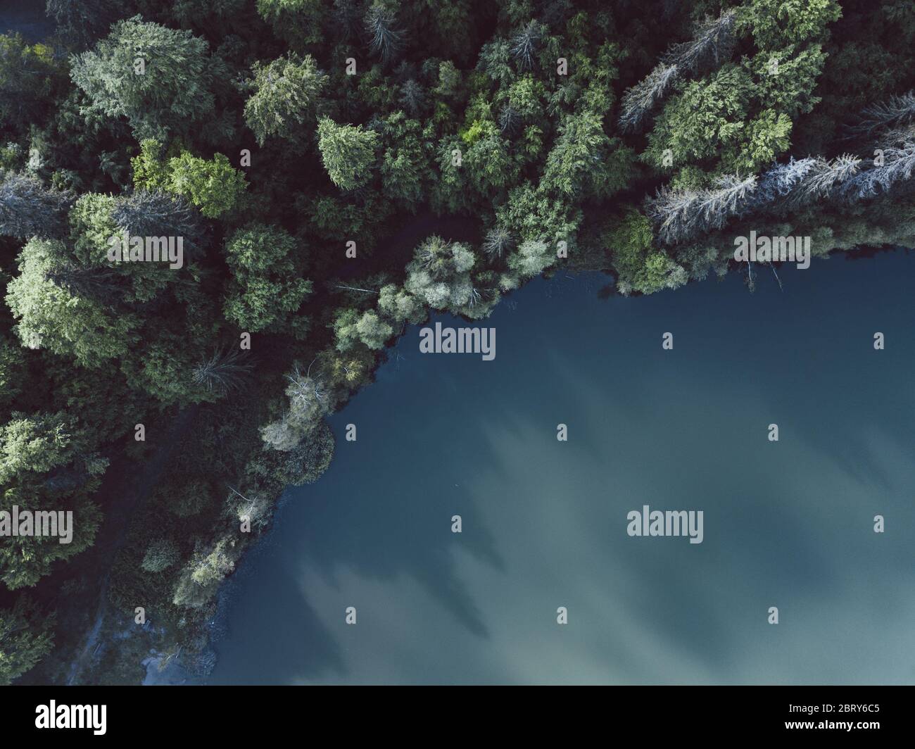 Outstanding drone shot with splendid view over forrest and lake Stock Photo