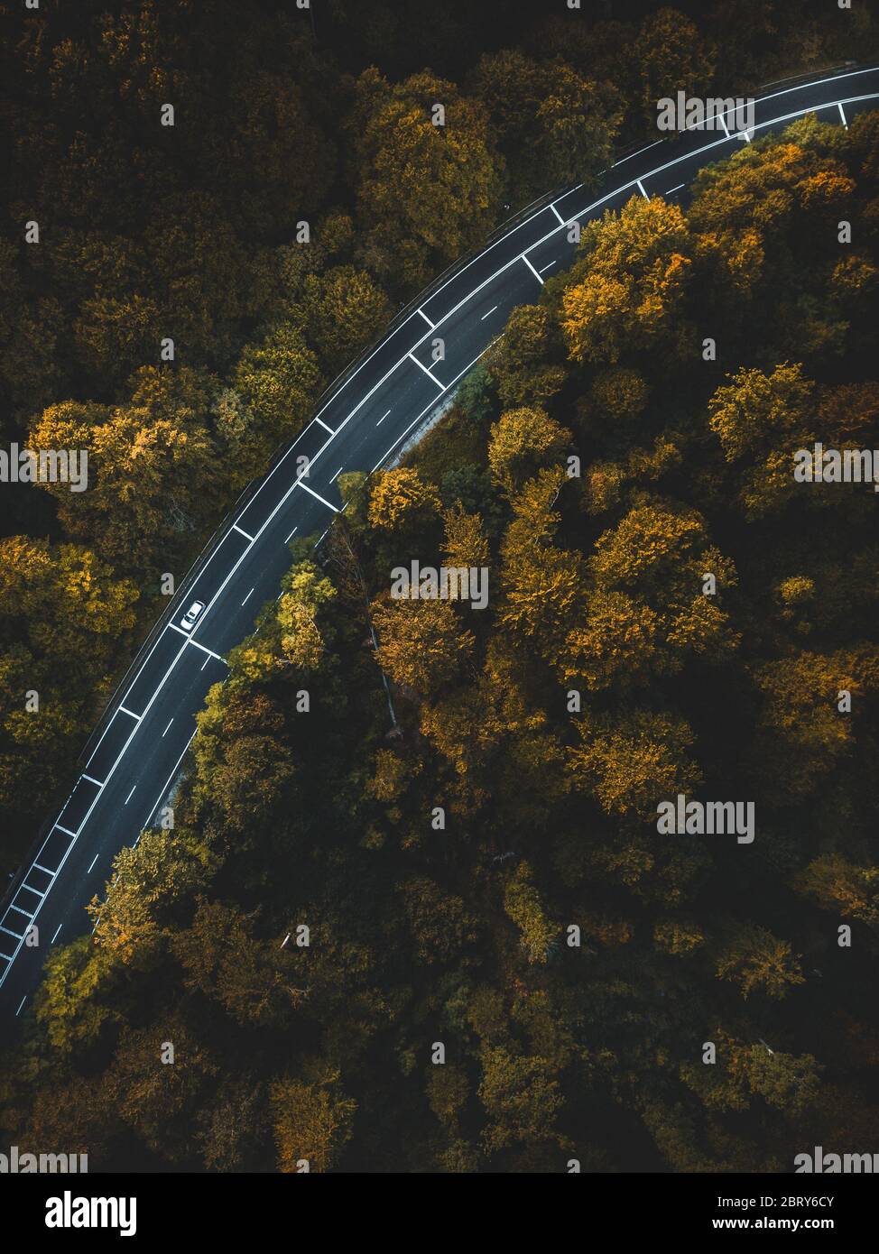 Aerial view of thick forest in autumn with road cutting through Stock Photo