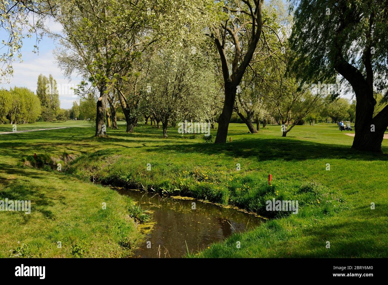 View over small ditch to fairway of 8th Hole with 11th Fairway to left, Thorpe Hall Golf Club, Southend-on-Sea, Essex, England Stock Photo