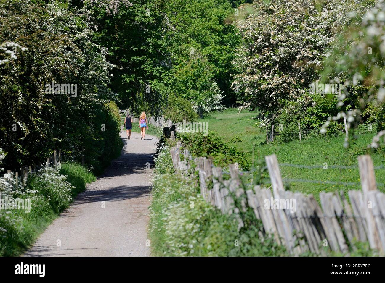 Two women walking down path hi-res stock photography and images - Alamy