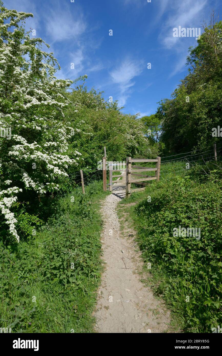 Loose Village, Kent, UK. Kissing gate - allowing access for people but not livestock - on a public footpath Stock Photo