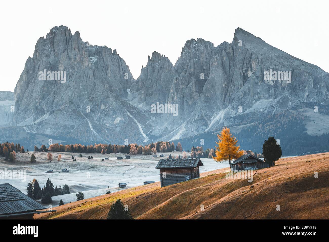 Alpe di Siusi - Seiser Alm resort with Sassolungo - Langkofel mountain group in background. Landscape with fall colours and wooden chalets in Dolomite Stock Photo