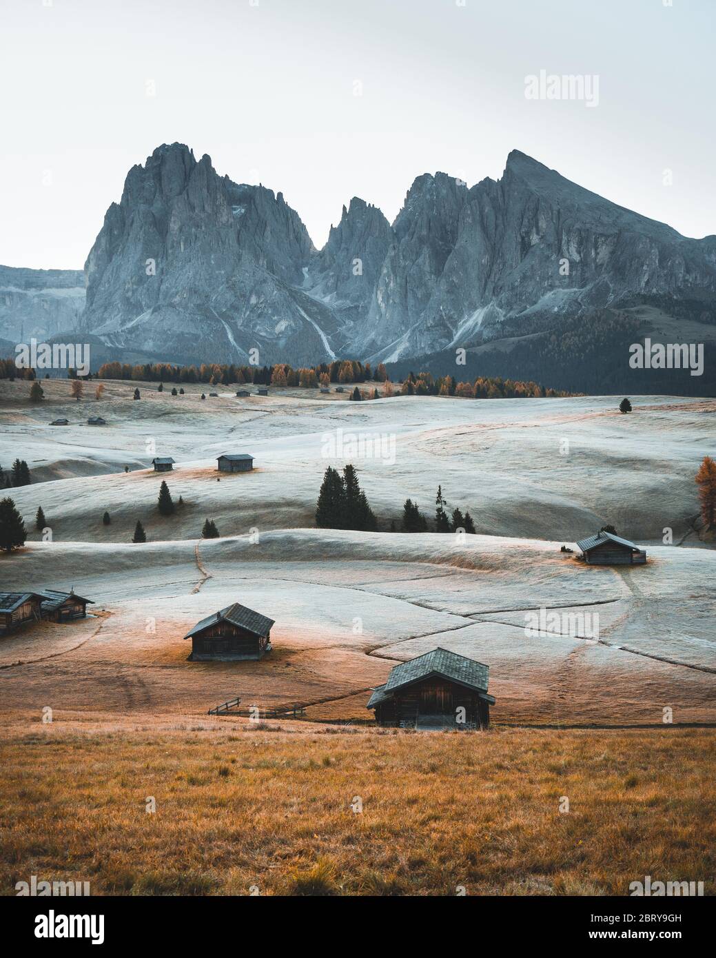 Small wooden farm house, cottage or log cabins on meadow on Alpe di Siusi, Seiser Alm. Alpe di Siusi or Seiser Alm with Sassolungo, Langkofel mountain Stock Photo