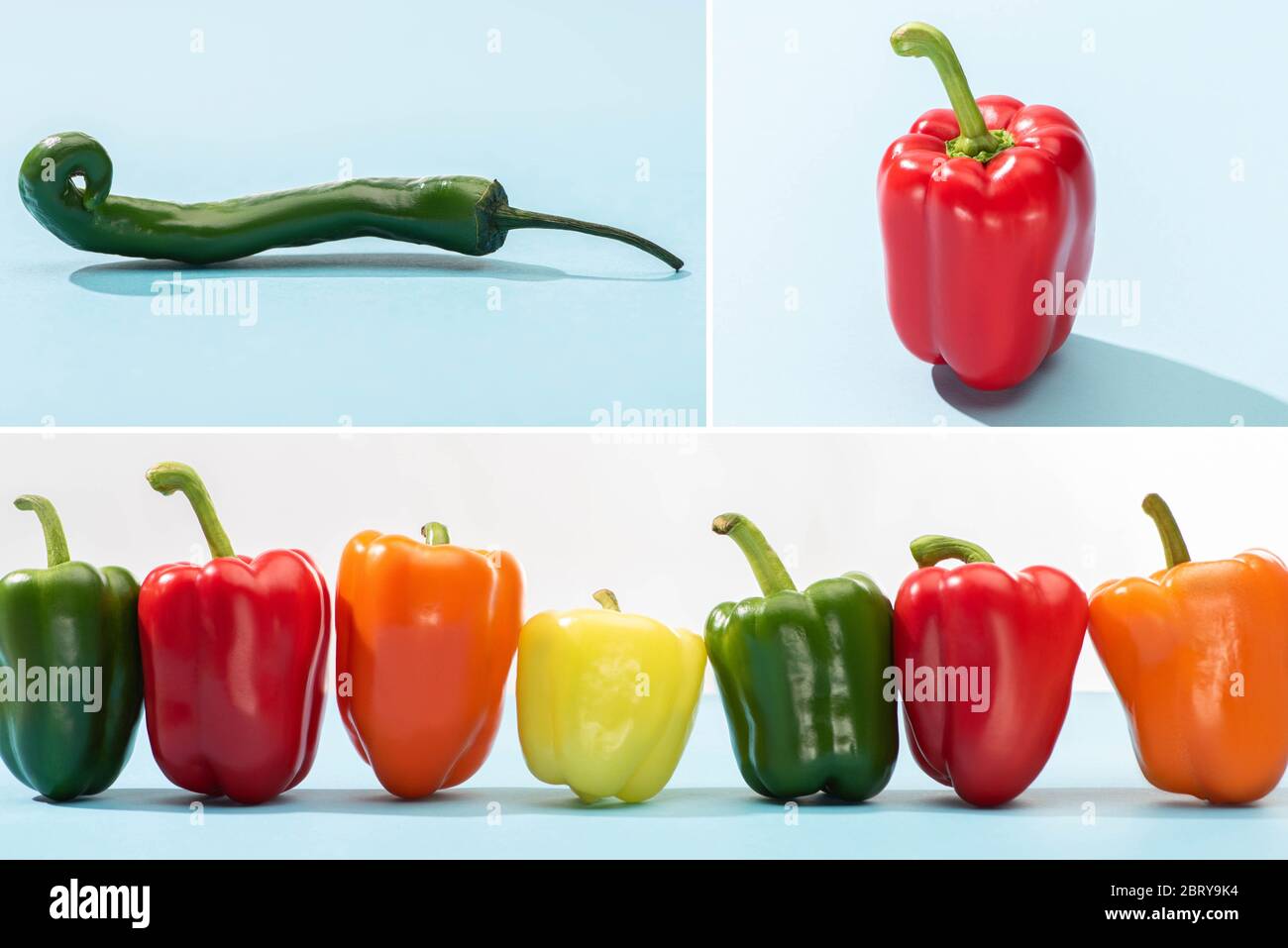 Blue bell pepper deals