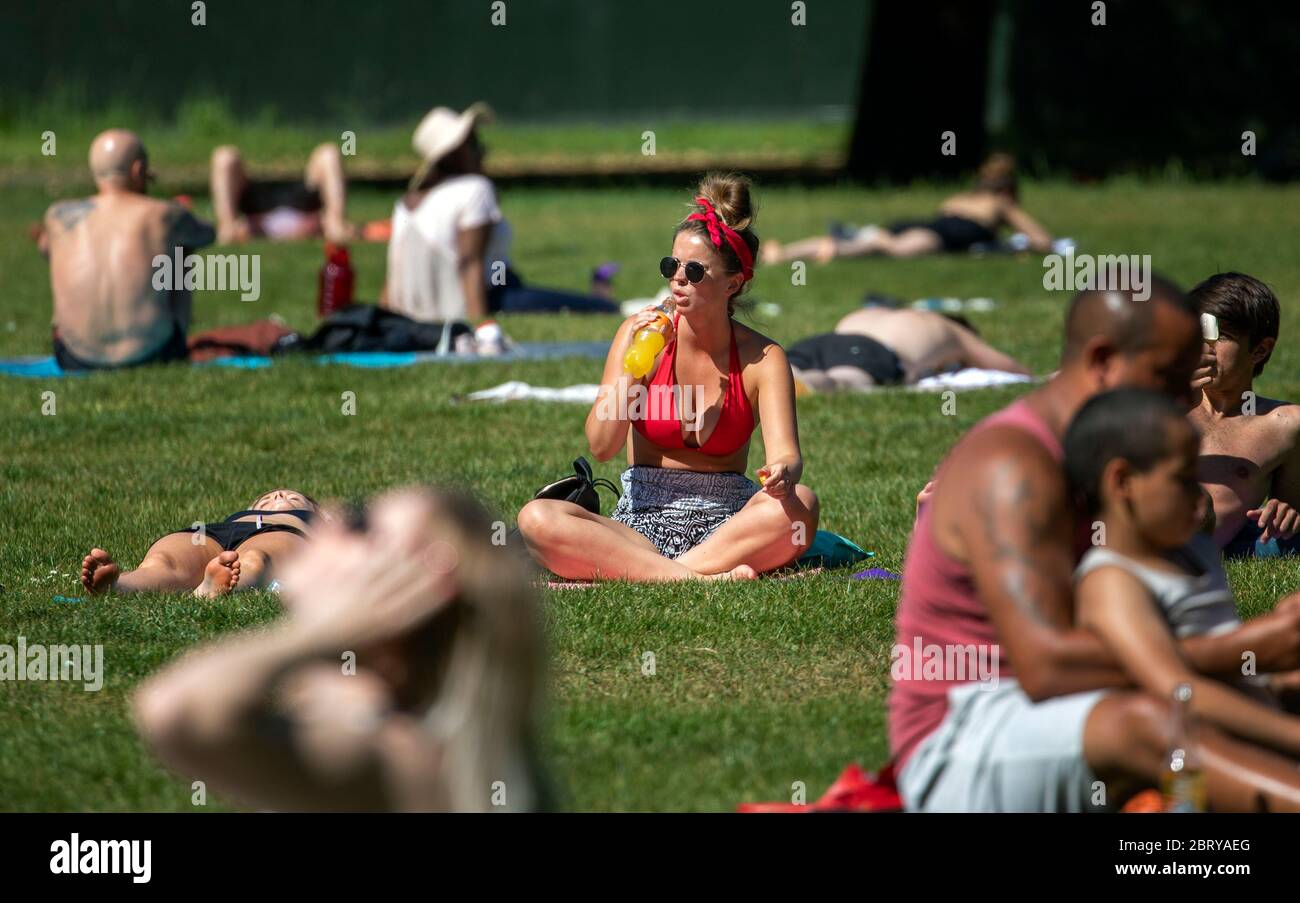 Kennington Park London Hot weather sunbathers a fun lovers     picture by Gavin Rodgers/ Pixel8000 Stock Photo