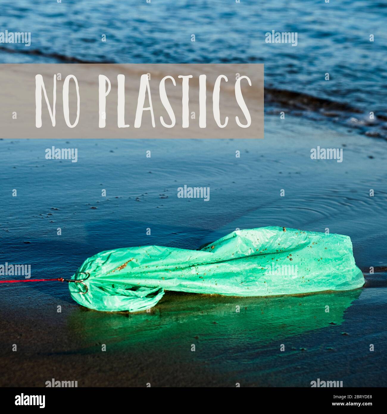 closeup of a used green plastic bag in a fish hook in the seashore, freshly fished in the ocean, and the text no plastics Stock Photo