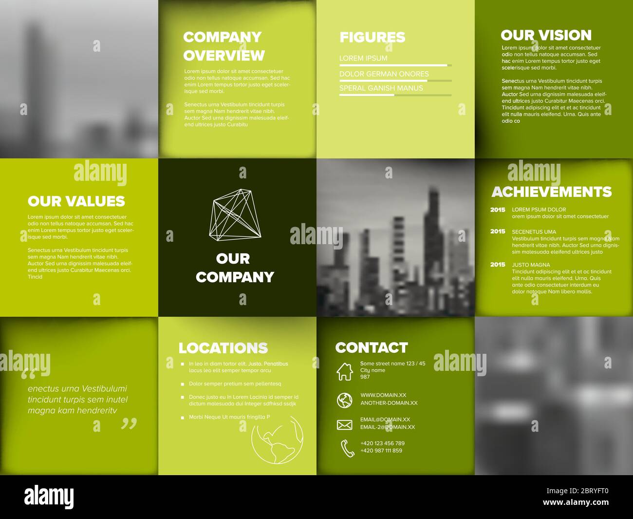 Company Profile Template Corporation Main Information Presentation 
