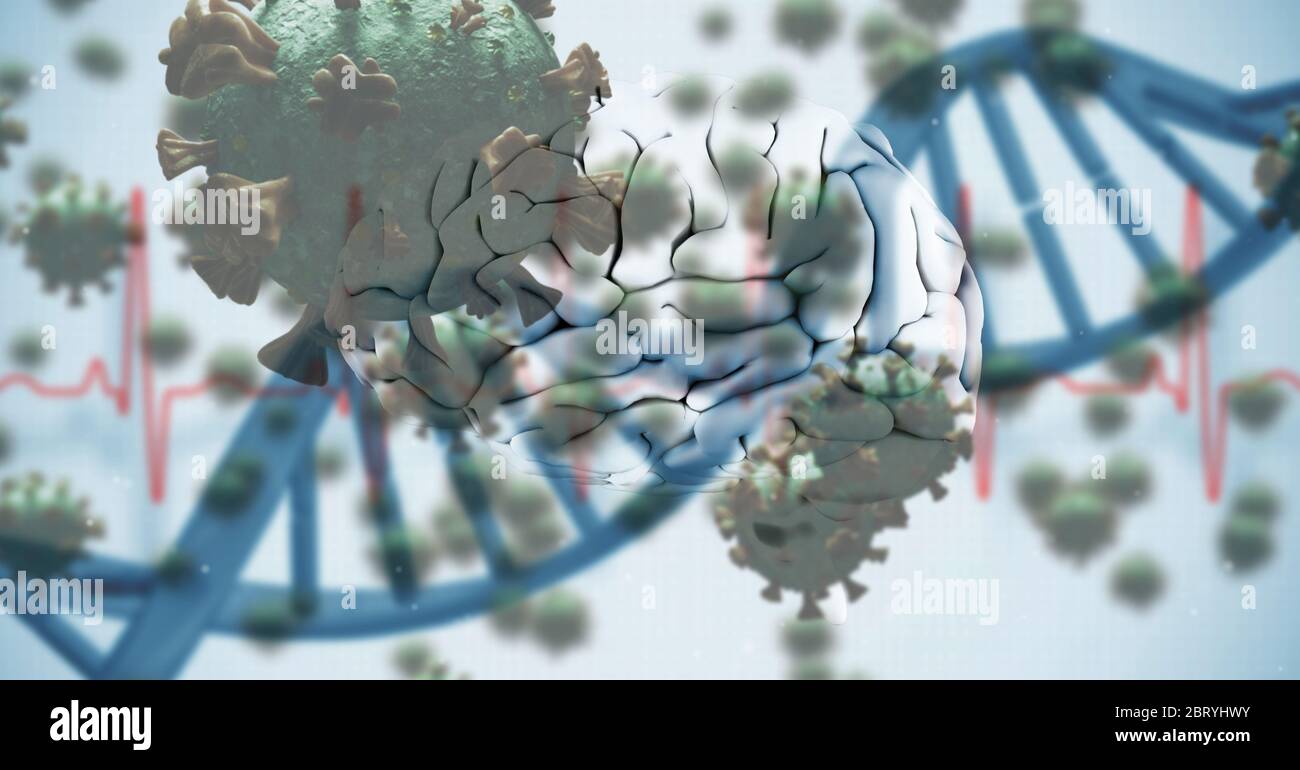 3D human brain with blue DNA strain over macro coronavirus covid19 cells Stock Photo