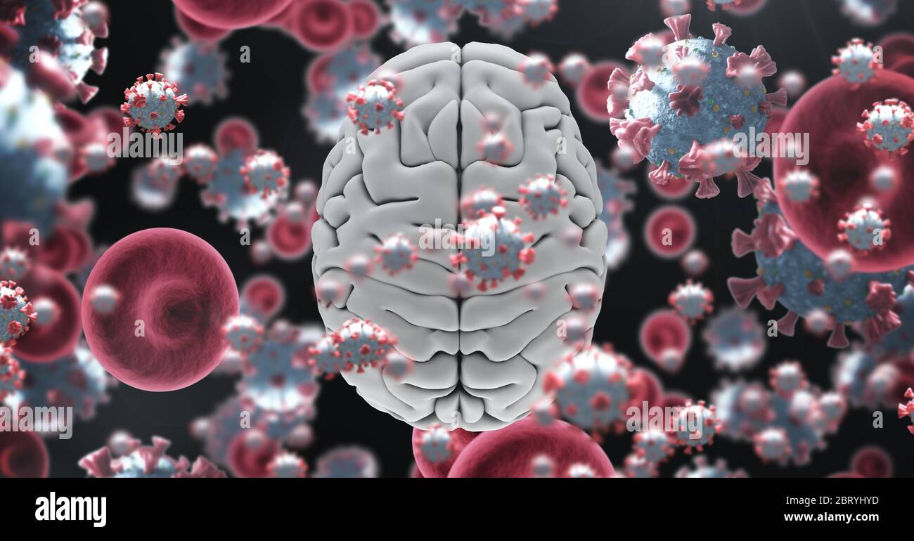 Red cells and 3D white human brain over coronvirus covid19 cell Stock Photo