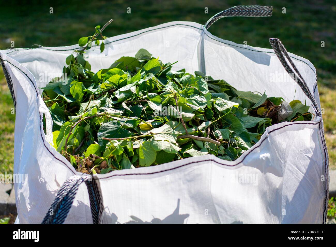 Big white bag with organic green garden waste. Local councils collecting green waste to process it into green energy and compost. Stock Photo