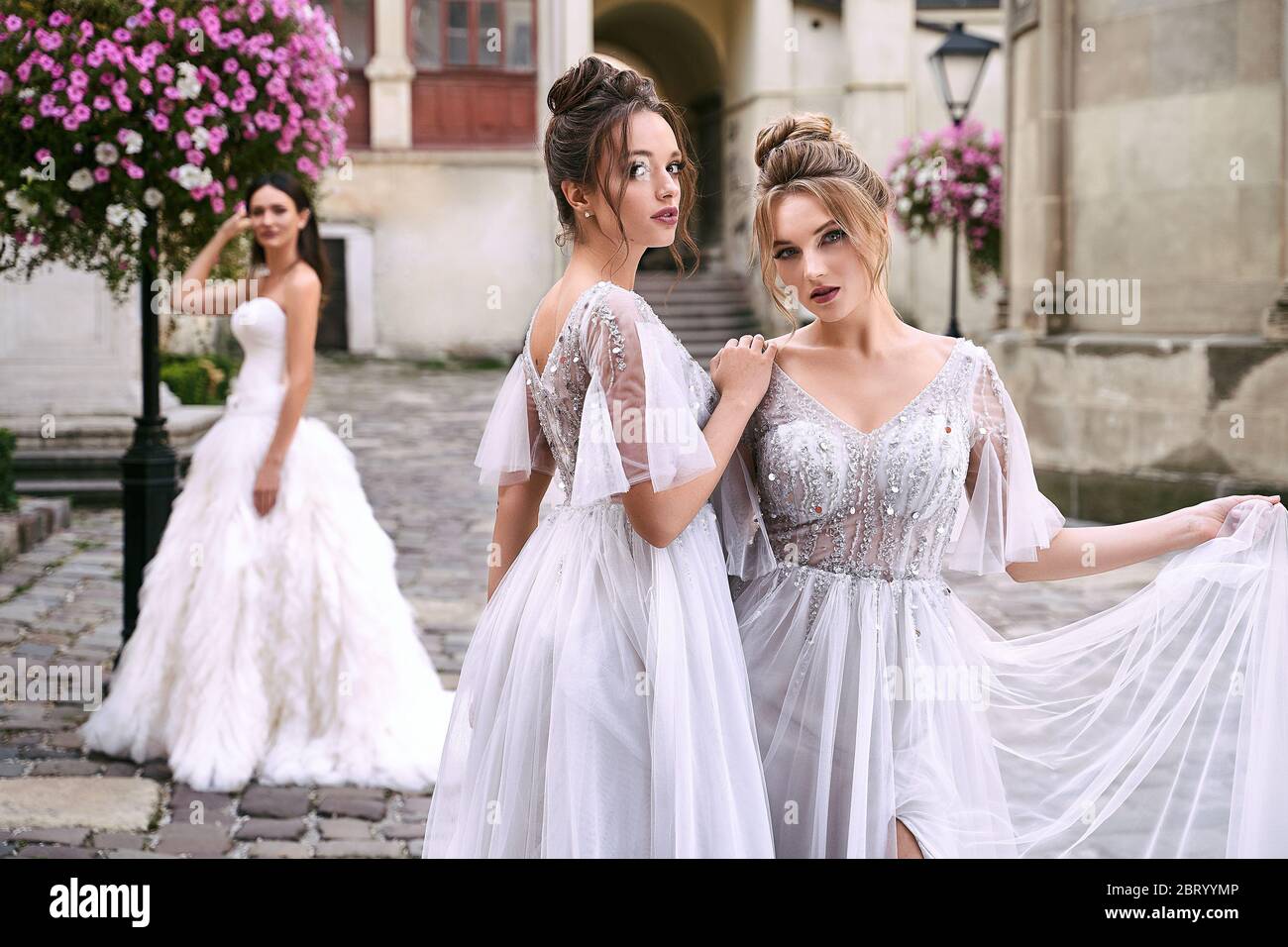 Beautiful bride and bridesmaids in gorgeous elegant stylish light grey ...
