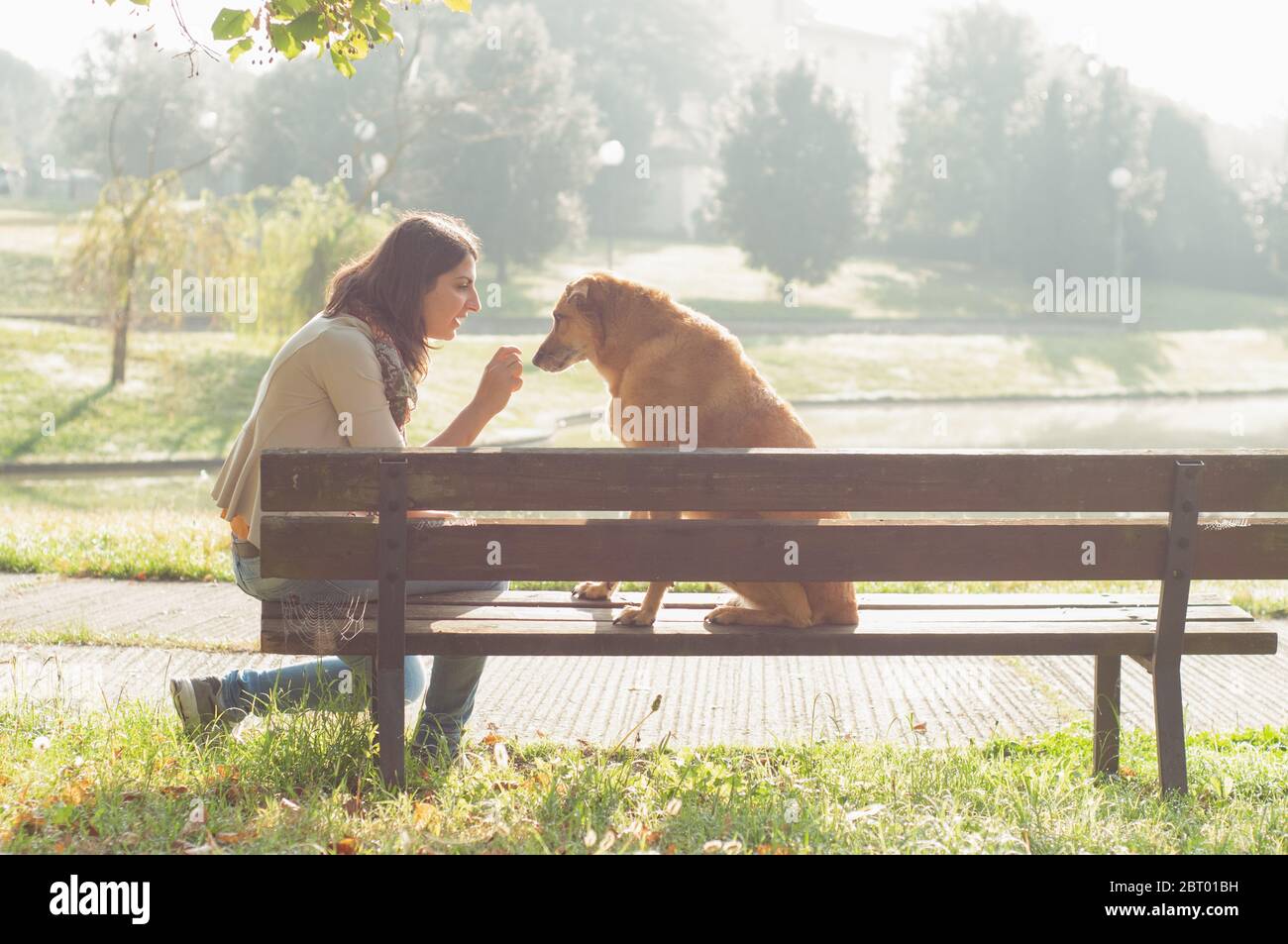Woman sitting with her dog on a park bench Stock Photo - Alamy