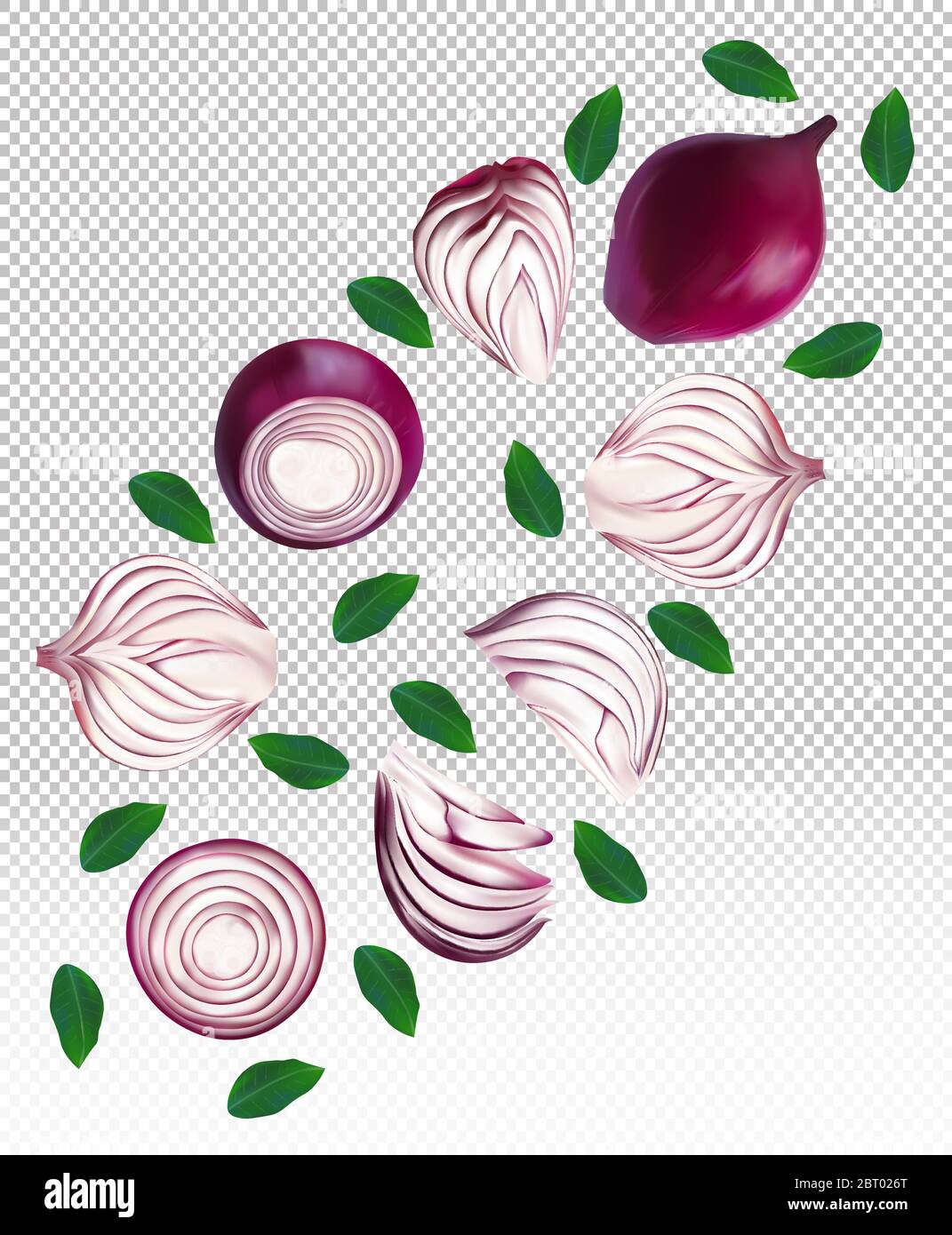 Set of red onion with leaves on transparent background. Flying red