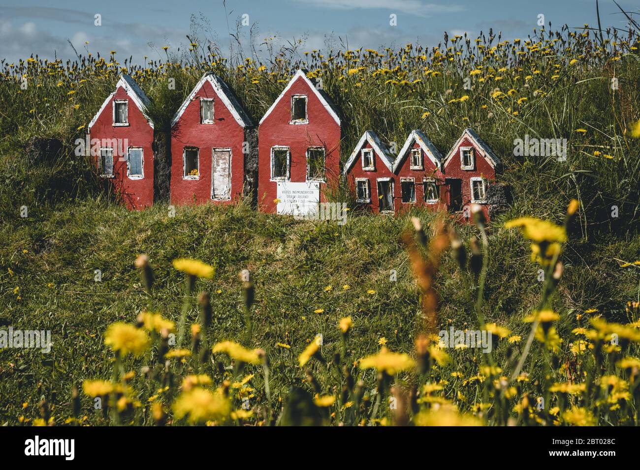 Trio of little red elf houses Hulduf lk with turf roofs in Iceland. Green grass with yellow flowers. Stock Photo