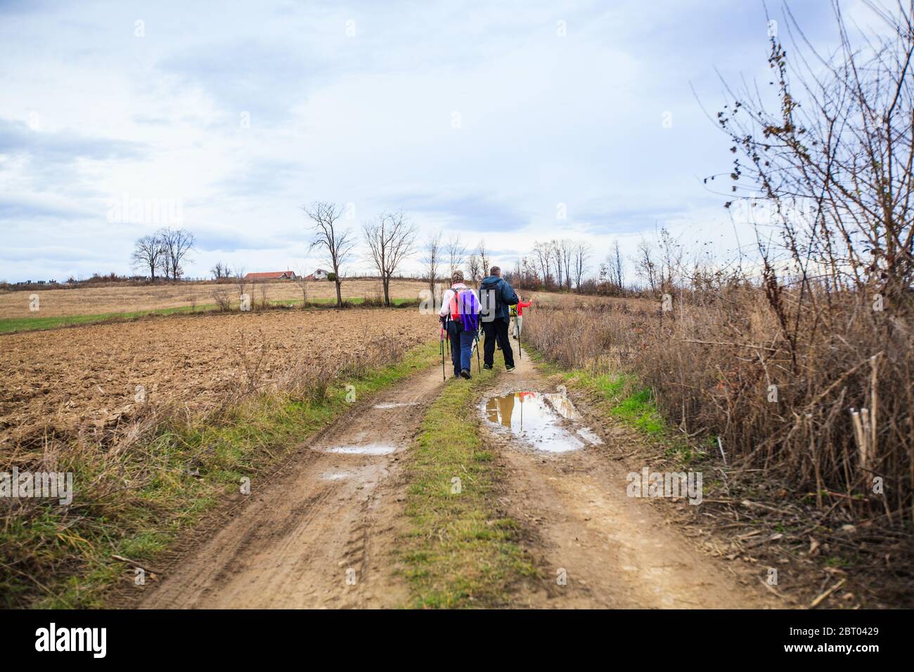 Hiking, Travel, Healthy Lifestyle. Group of active people with backpack walking on a rural road in autumn day. Stock Photo